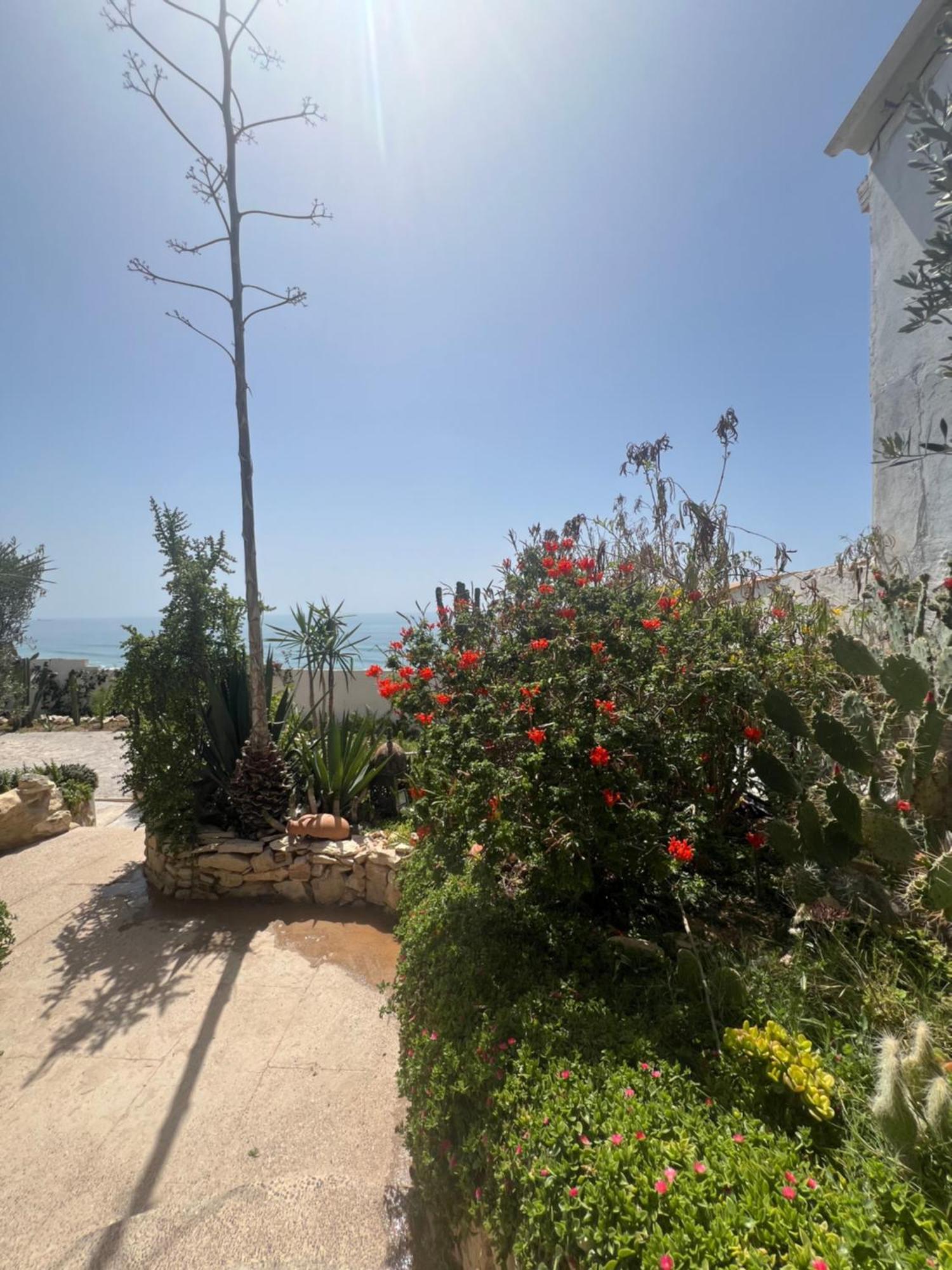 Villa Jardin De l'Ocean Aourir Esterno foto