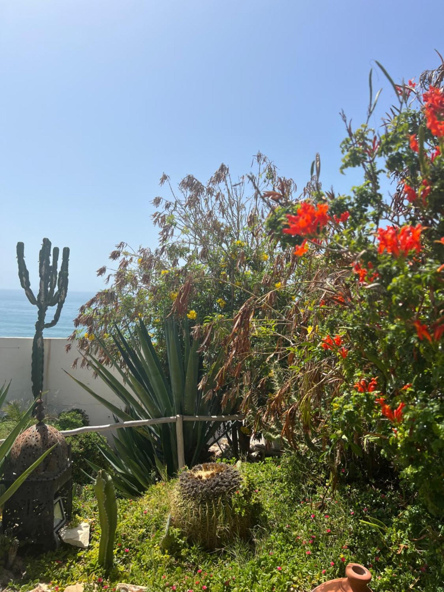 Villa Jardin De l'Ocean Aourir Esterno foto
