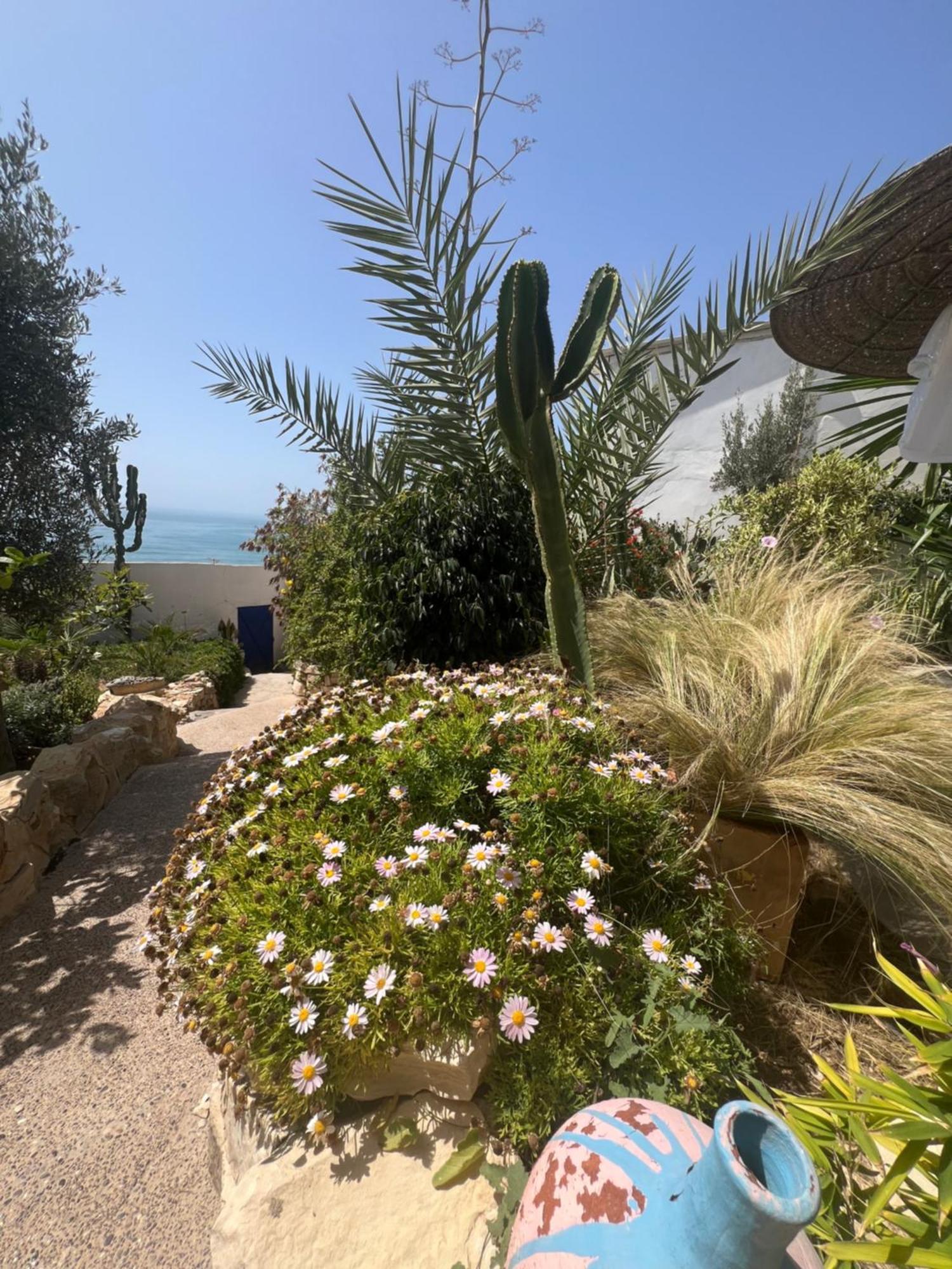 Villa Jardin De l'Ocean Aourir Esterno foto