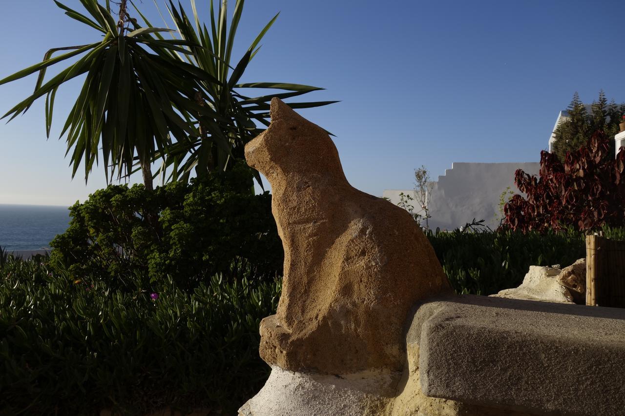 Villa Jardin De l'Ocean Aourir Esterno foto