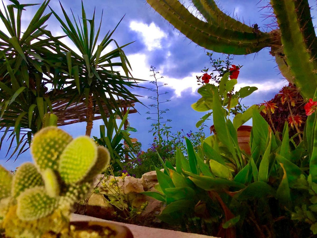Villa Jardin De l'Ocean Aourir Esterno foto
